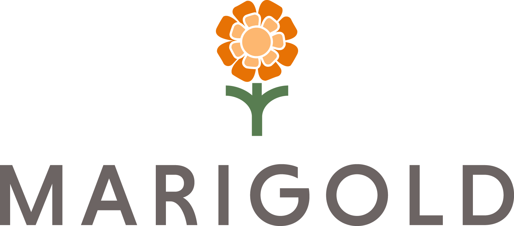 Marigold | The Aboretum