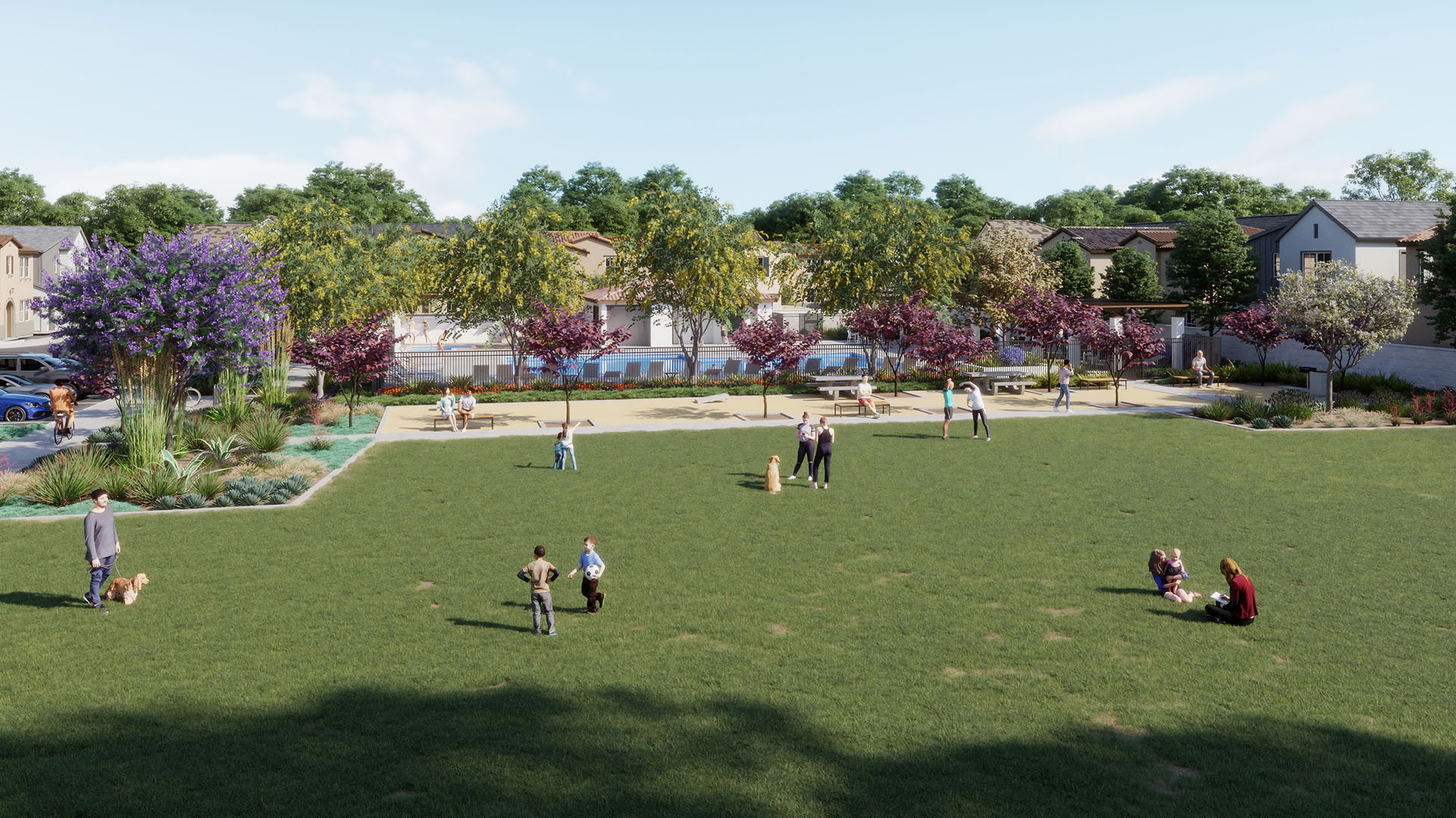 Park - The Arboretum