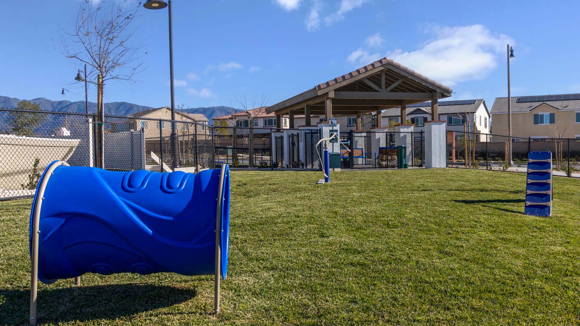 Dog Park | Amenities at The Arboretum