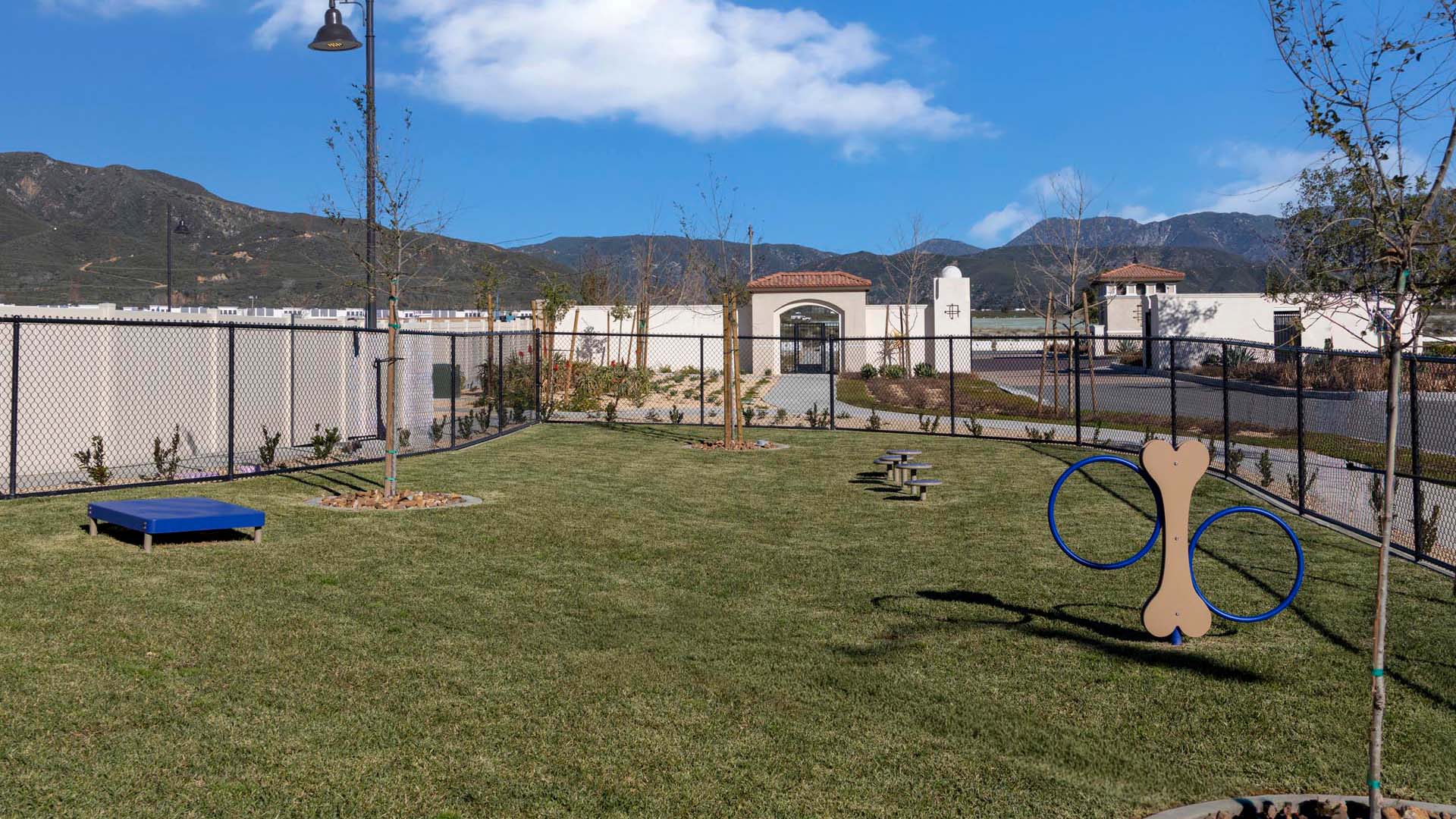 Dog Park | Amenities at The Arboretum